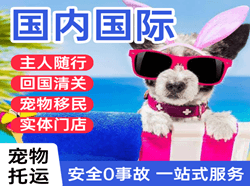 西郊机场托运国际宠物托运 【国